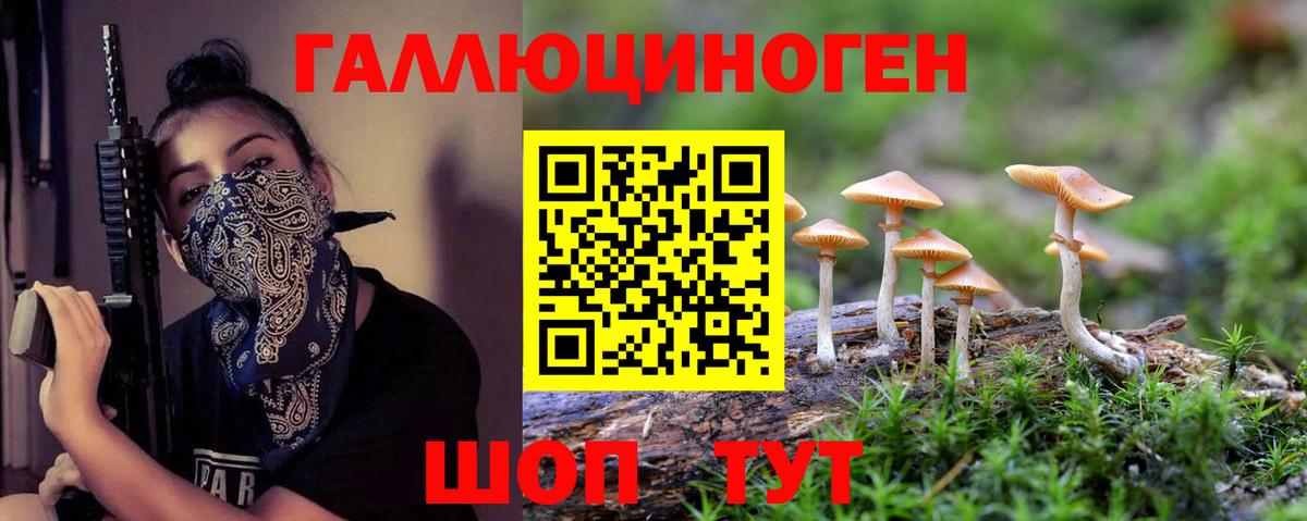 Камень-на-Оби  Галлюциногенные грибы GOLDEN TEACHER  Вход с VPN 